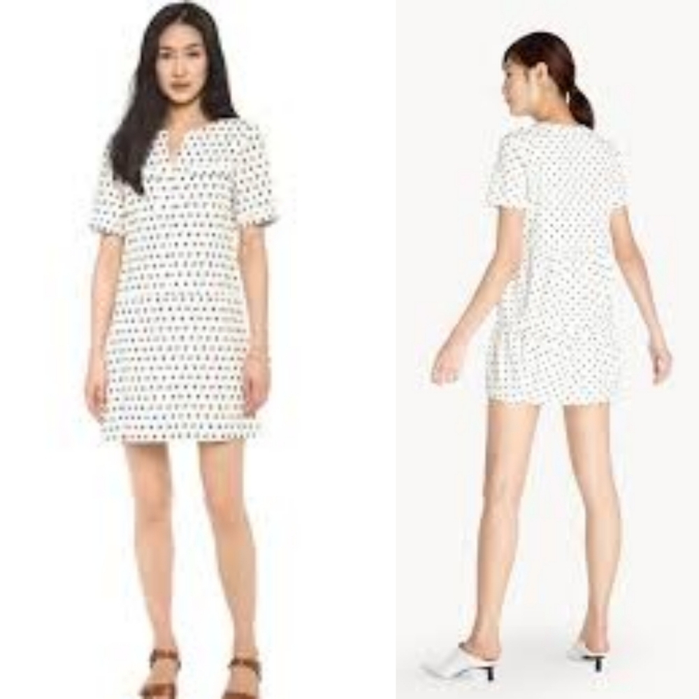 A.P.C. Atelier Napoli Polka Dot Print Mini Dress